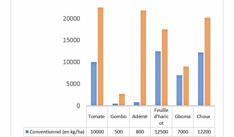 Rendements des cultures avec la méthode bio intensive comparés avec la méthode conventionnelle