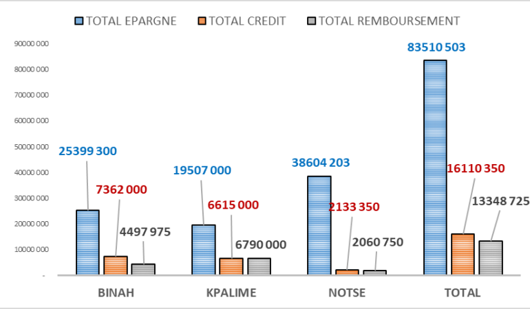 Réalisations et grandes performances des AVEC